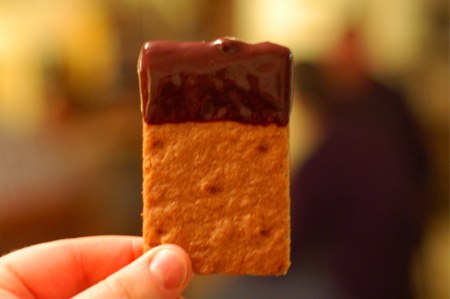 chocolate-dipped-graham-cracker.jpg